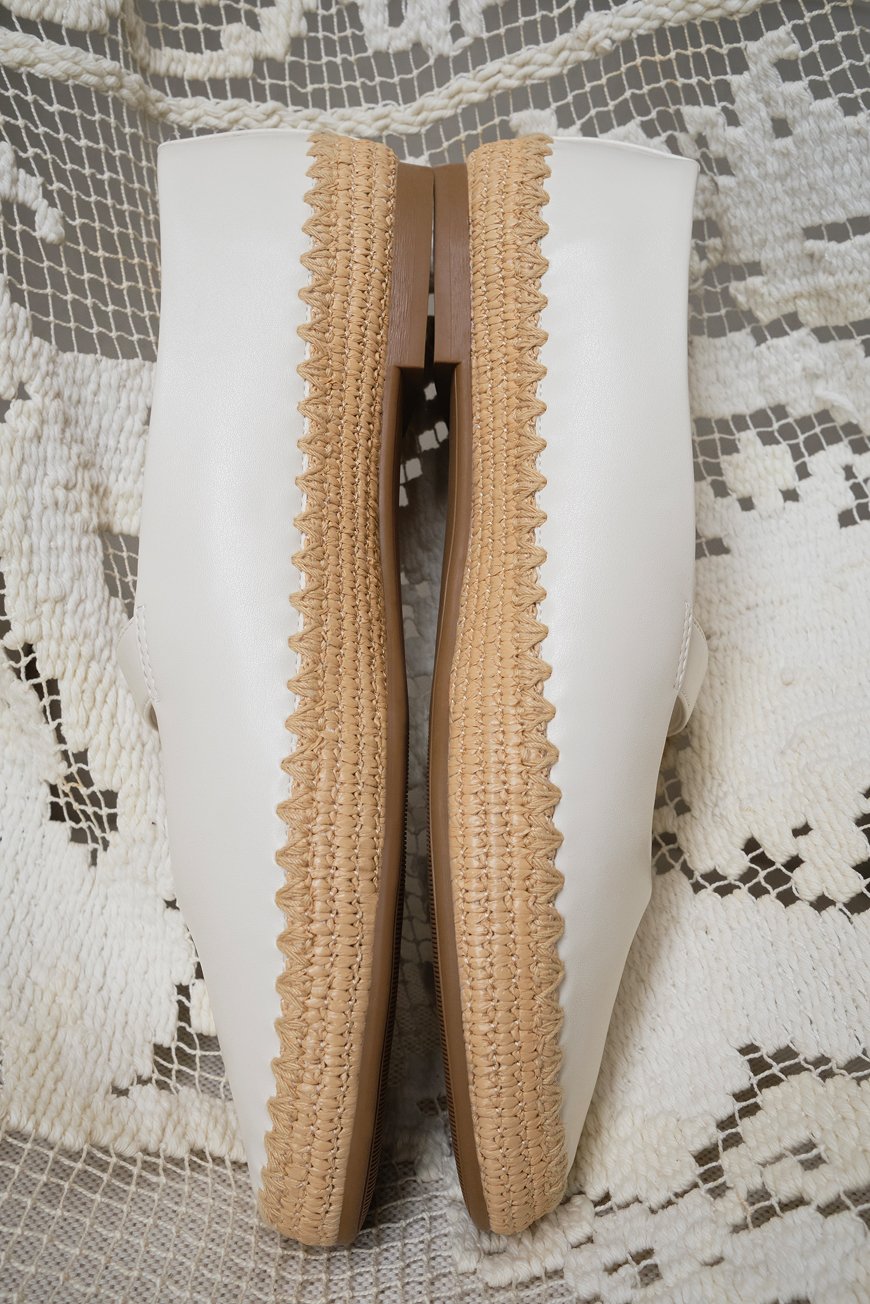 Shoes on white background